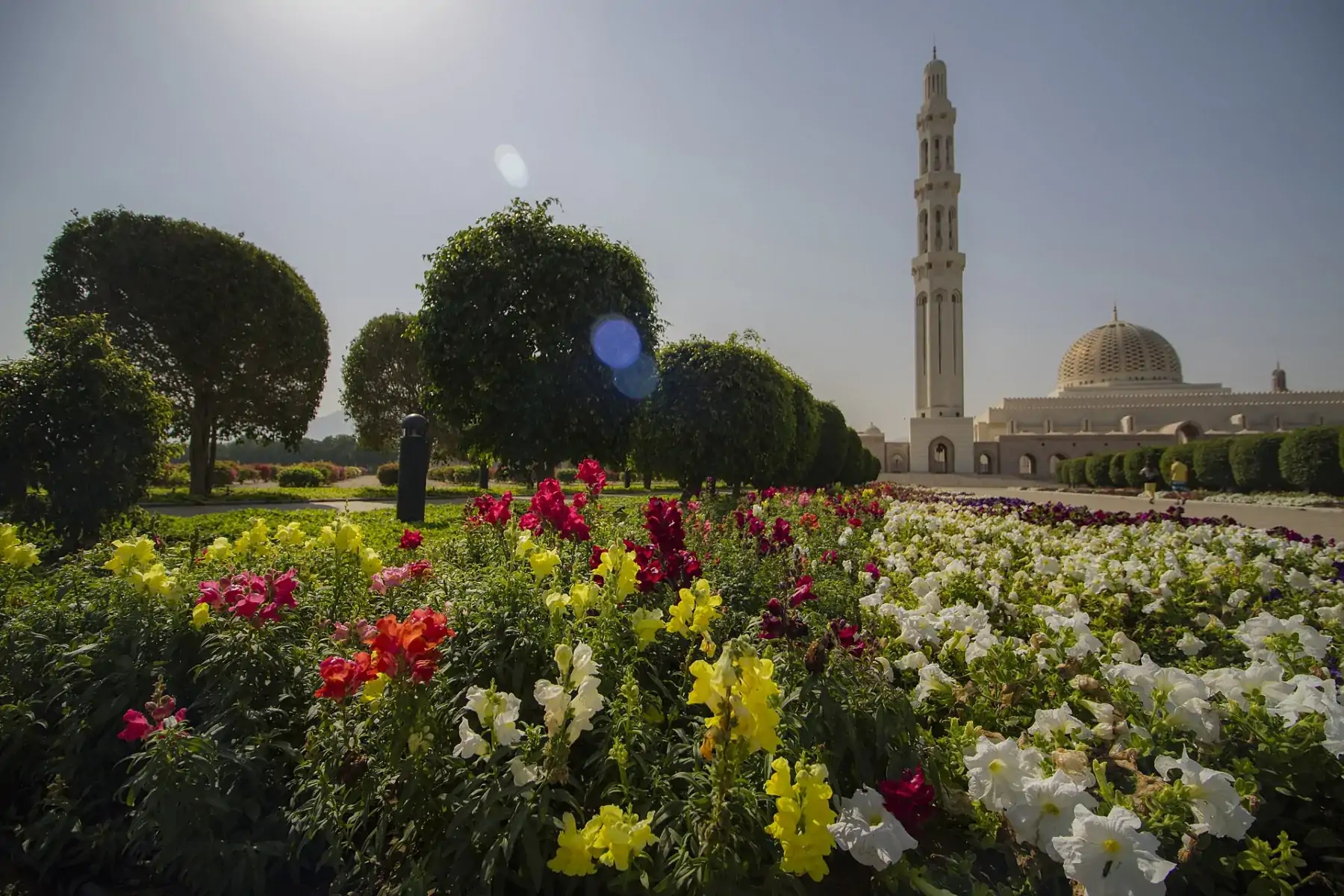 معلم من سلطنة عُمان