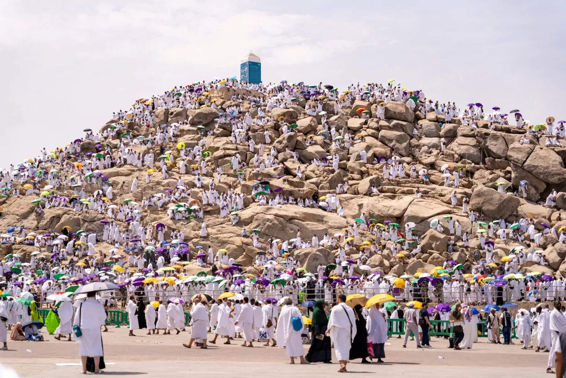 صعيد عرفات في موسم الحج